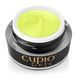 Pastel Neon Collection - Citrus Blend Builder Gel 15ml